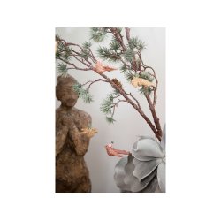 Medusa oph�ng due pige p� gran gren - Fransenhome