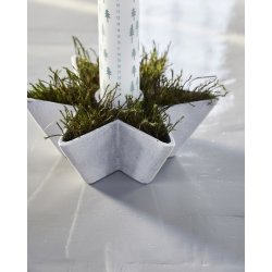 House Doctor Mold star lysestage med lys og gran - Fransnehome