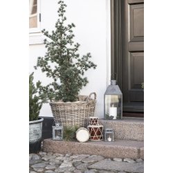 Tromme m�rkebrun 12,5 cm fra Ib Laursen p� trappe ved juletr� - Tinashjem