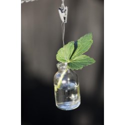 Flaske mini med sort oph�ng fra Ib Laursen med en blomst - Tinashjem