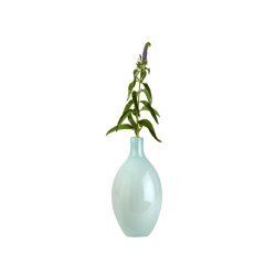 Vase Akeleje 32 cm med en enkelt gren - Fransenhome