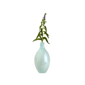 Vase Akeleje 32 cm med en enkelt gren - Fransenhome