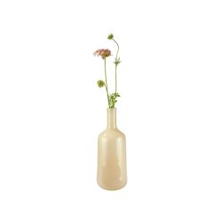 Vase Limonade 39 cm med en enkelt stilk - Fransenhome