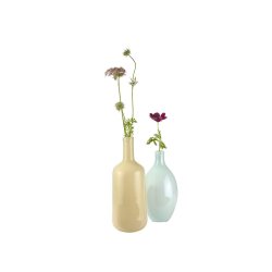 Vase Akeleje 32 cm 2 vaser med en enkelt stilk - Fransenhome