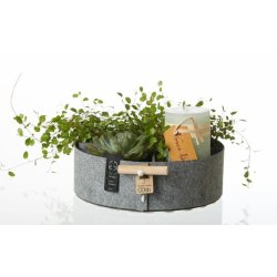 L�bech Living Bakkes�t i Eco-felt gr� med lys og plante - Fransenhome