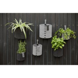 L�bech Living Outdoor Eco-felt plantepotte sort 11 cm med krydderurter - Fransenhome