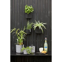 L�bech Living Outdoor Eco-felt plantepotte sort 11 cm med planter - Fransenhome